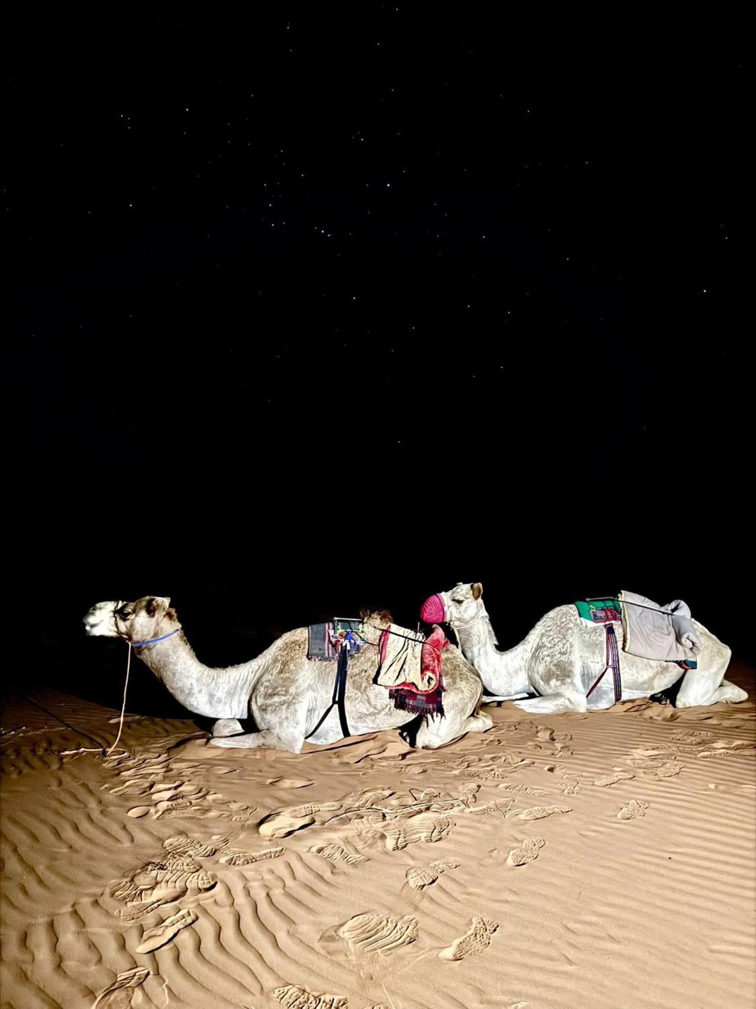 Hamood Desert Private Camp Al Wasil Экстерьер фото